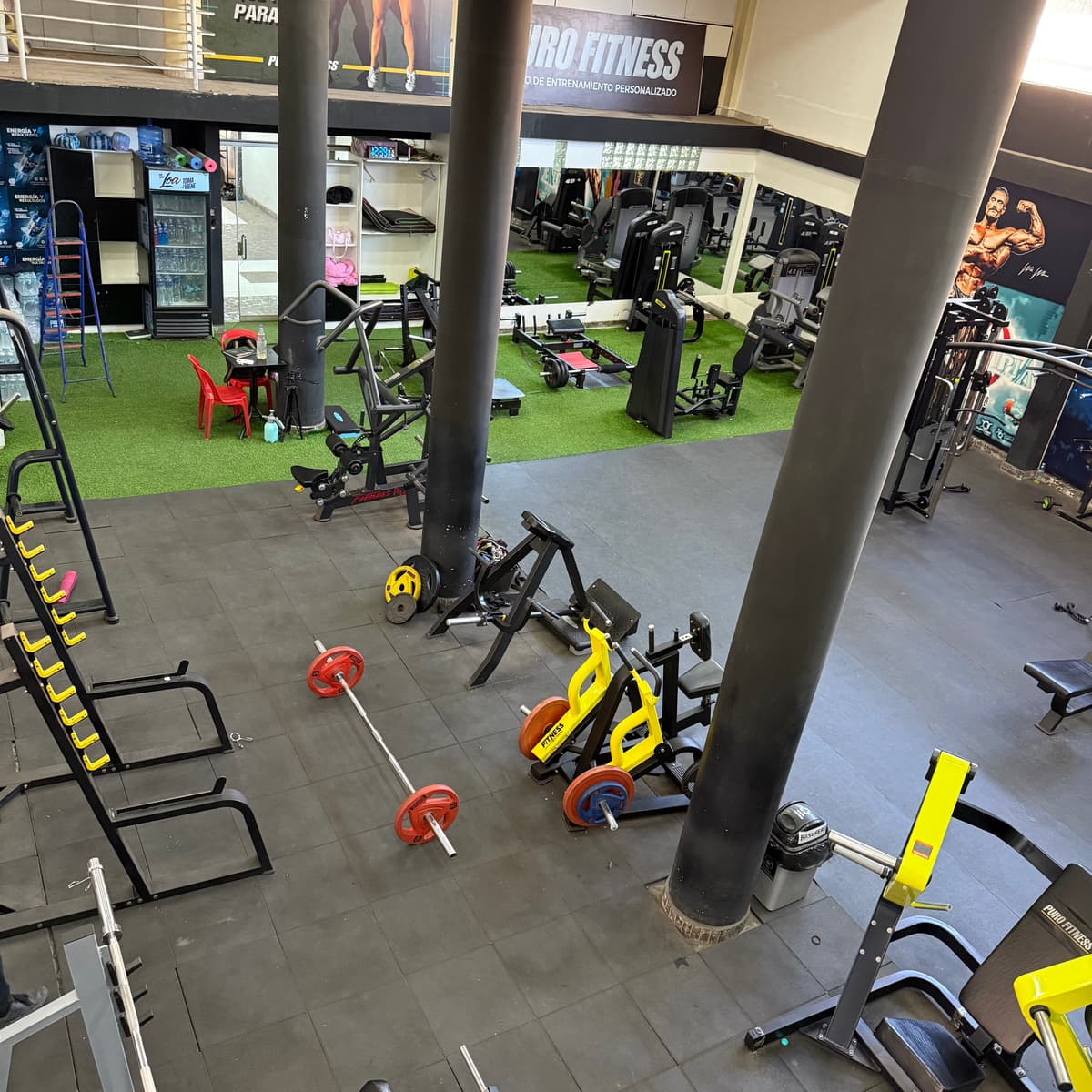 Equipamiento de maquinas del gimnasio PuroFitness