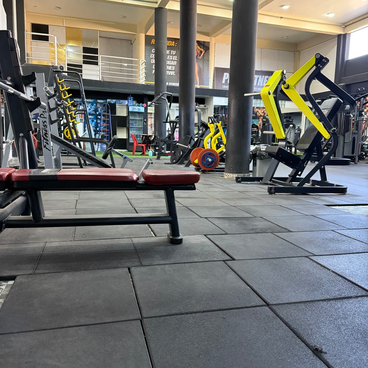 Equipamiento de maquinas del gimnasio PuroFitness