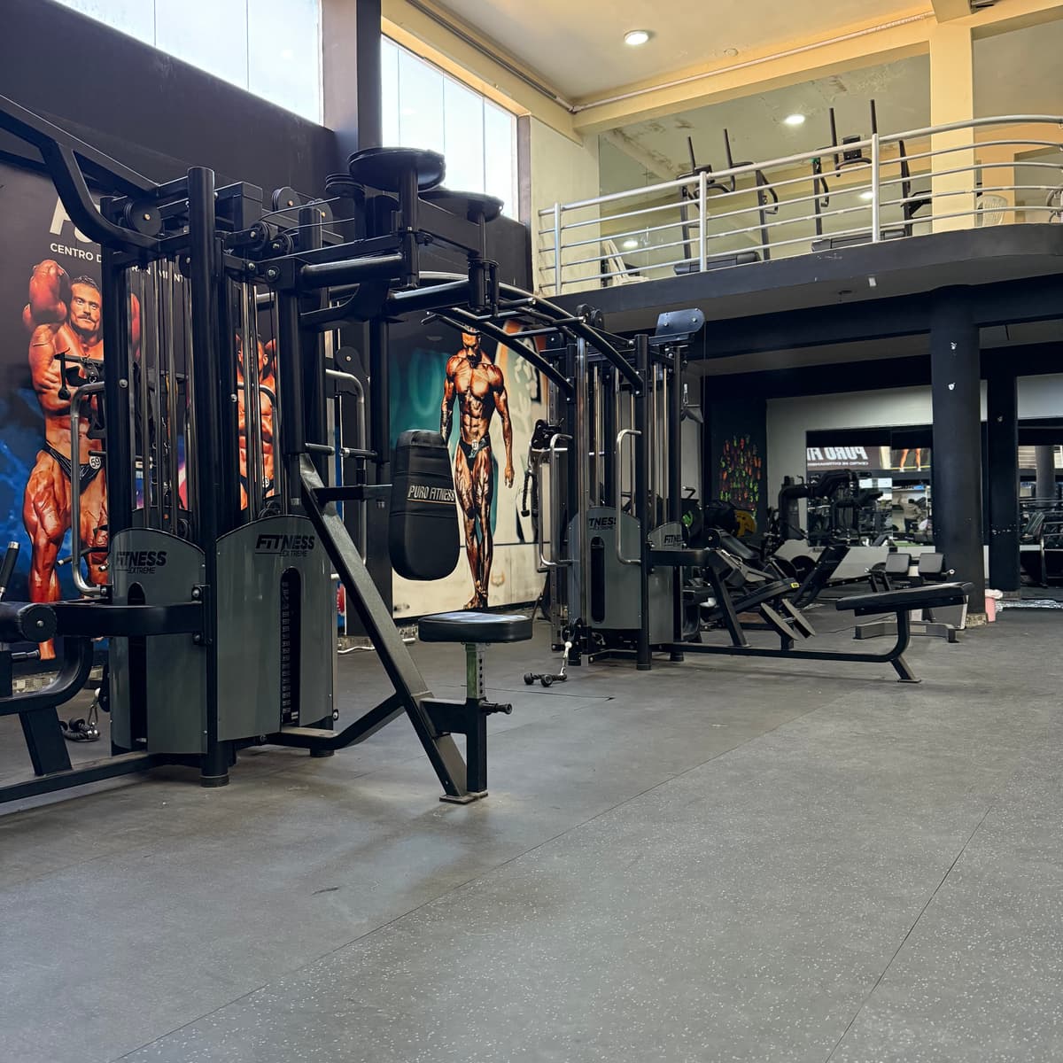 Equipamiento de maquinas del gimnasio PuroFitness
